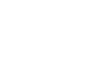 skyy-core1